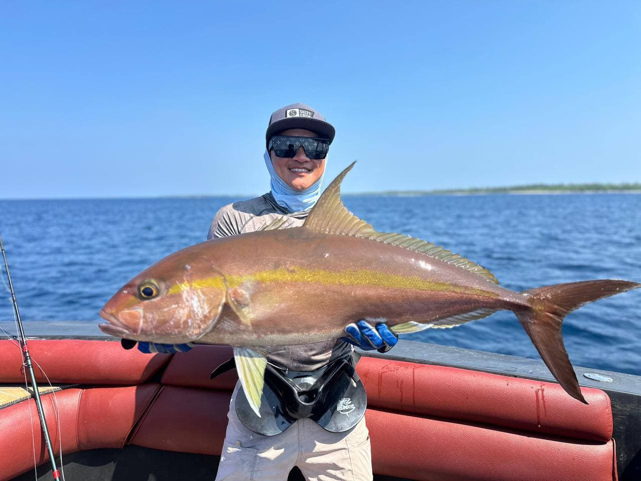 Amberjack