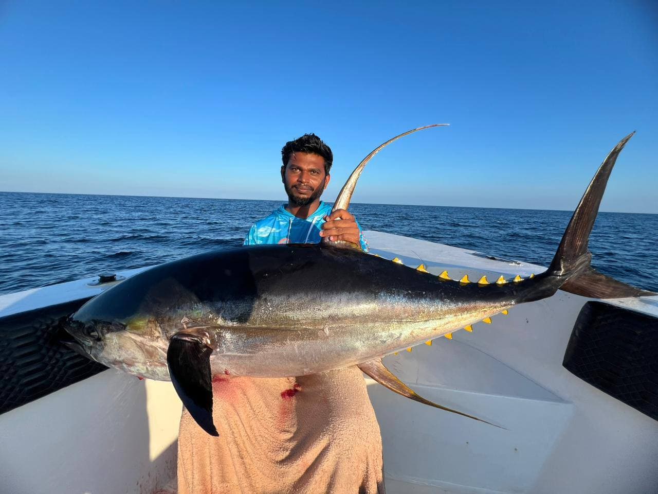 Yellowfin Tuna