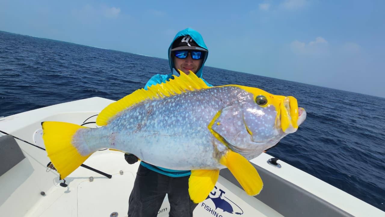 Private charters  ·  Trophy species  ·  Maldives