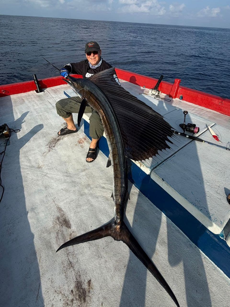 Sailfish